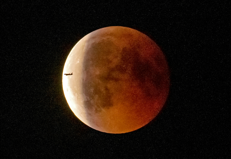 Illustration for article titled Así se vio el eclipse lunar total en distintos rincones del mundo